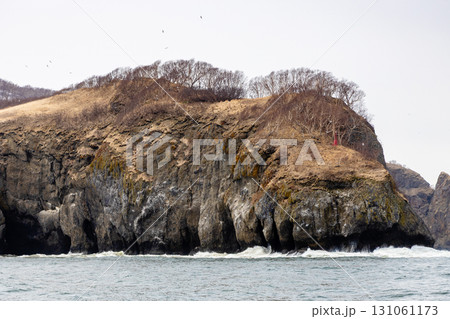 cape in Babya bay of Pacific ocean on spring day 131061173