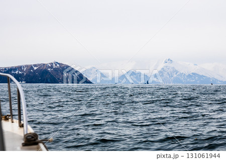 view of coast of Pacific ocean in Avacha from boat view of coast of Pacific ocean in Avacha from boat 131061944