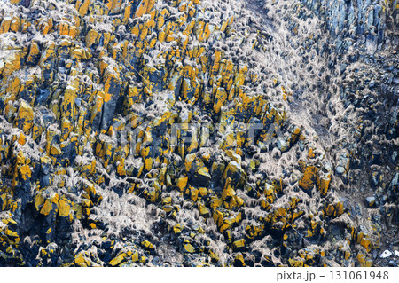 surface of rock of Starichkov island in Avacha bay 131061948