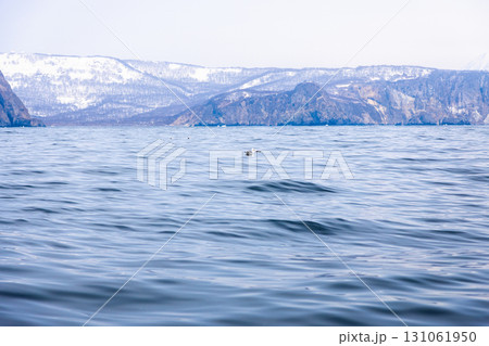 blue water of Avacha bay of on sunny spring day blue water of Avacha bay of on sunny spring day 131061950