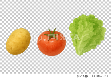 水彩で描いたいろいろな野菜のイラスト 131062064