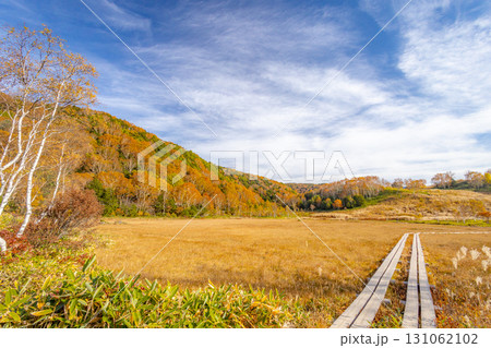 紅葉深まる志賀高原 田ノ原湿原 紅葉深まる志賀高原 田ノ原湿原 131062102