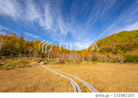 紅葉深まる志賀高原 田ノ原湿原 紅葉深まる志賀高原 田ノ原湿原 131062103