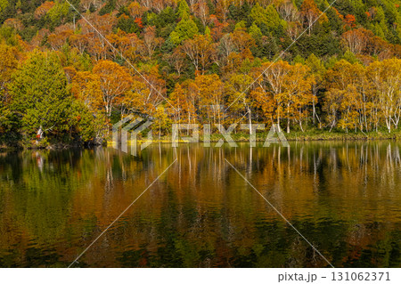 秋色深まる志賀高原 木戸池 131062371