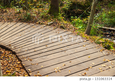 wooden boards eco-trail. Curved wooden pathway surrounded by autumn leaves in a peaceful forest setting. Wooden plank path turns left 131063314