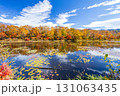 紅葉深まる志賀高原 蓮池 131063435