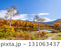 紅葉深まる志賀高原 蓮池 131063437