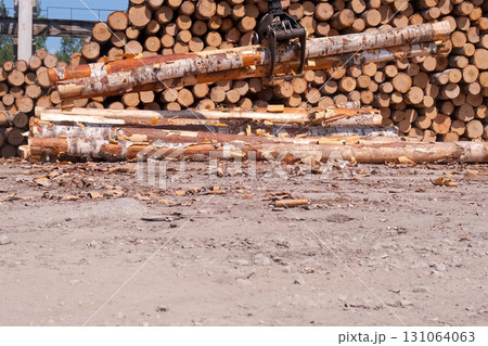 Excavator moving logs from pile at lumber processing woodworking plant. 131064063