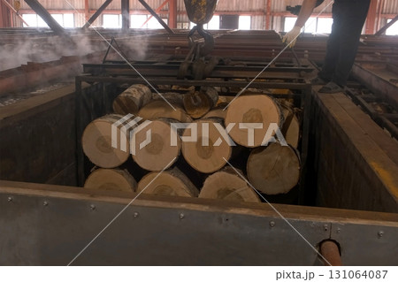 Factory worker moving down birch logs with crane in metal tank with hot water. 131064087