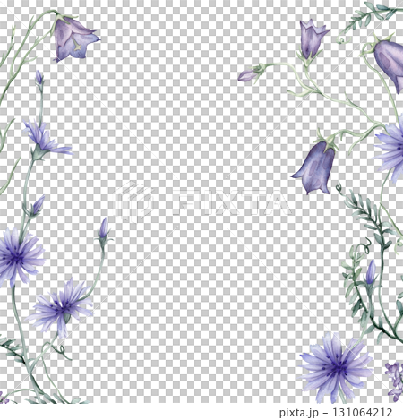 Square border or frame with blue wildflowers. Hand drawn watercolor illustration on isolated background. Summer floral pattern for frame or banner with chicory and bluebell and Mouse Pea Flowers. 131064212