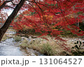岡山県を代表する紅葉の名所　奥津渓はまるで錦絵 131064527