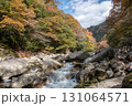 岡山県を代表する紅葉の名所　奥津渓はまるで錦絵 131064571