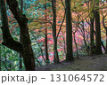 岡山県を代表する紅葉の名所　奥津渓はまるで錦絵 131064572