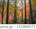 岡山県を代表する紅葉の名所　奥津渓はまるで錦絵 131064573