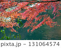岡山県を代表する紅葉の名所　奥津渓はまるで錦絵 131064574