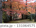 岡山県を代表する紅葉の名所　奥津渓はまるで錦絵 131064575