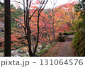 岡山県を代表する紅葉の名所　奥津渓はまるで錦絵 131064576