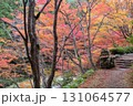 岡山県を代表する紅葉の名所　奥津渓はまるで錦絵 131064577