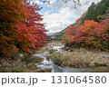 岡山県を代表する紅葉の名所　奥津渓はまるで錦絵 131064580