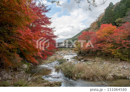 岡山県を代表する紅葉の名所 奥津渓はまるで錦絵 岡山県を代表する紅葉の名所 奥津渓はまるで錦絵 131064580
