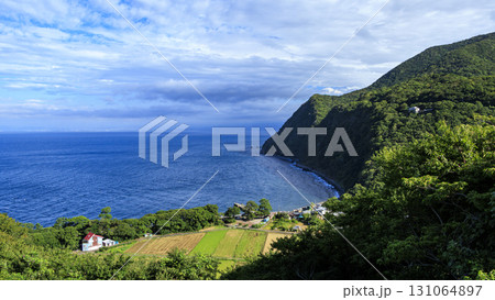 煌めきの丘から見た富士山 131064897