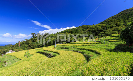 石部の棚田の秋 131065179
