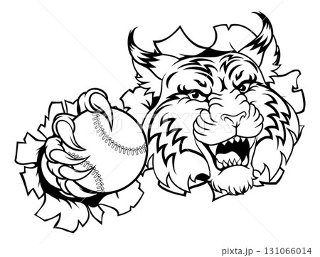 Wildcat Bobcat Baseball Ball Animal Team Mascot 131066014