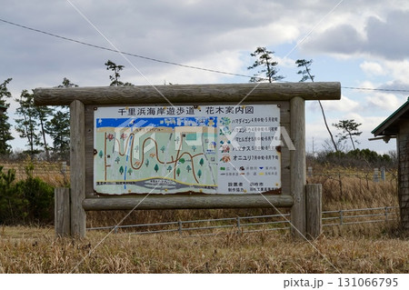 千里浜なぎさドライブウェイ　千里浜海岸遊歩道の案内板が見える風景　石川県羽咋市 131066795