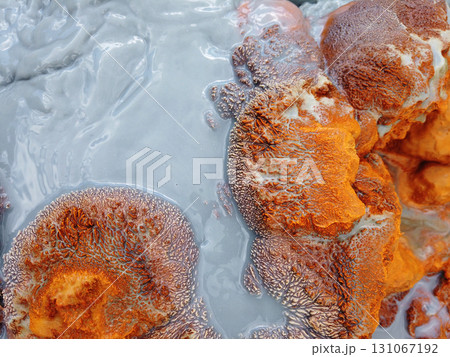 Crystals and minerals precipitating from residual gold mining leach waters 131067192