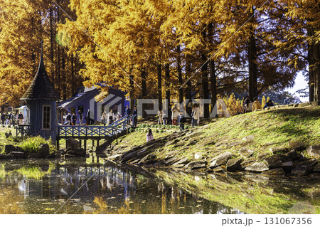 あけぼの子どもの森公園　秋の風景 131067356