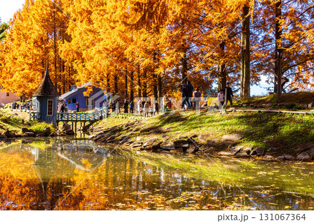 あけぼの子どもの森公園　秋の風景 131067364