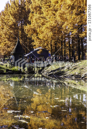 あけぼの子どもの森公園　秋の風景 131067366