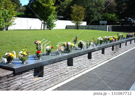 樹林墓地 樹林墓地 131067712