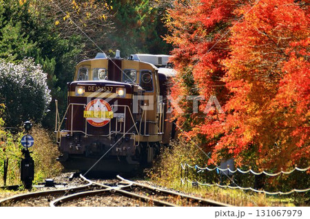 錦秋の鉄路をトロッコ列車が行く… 『トロッコわたらせ渓谷号』沢入駅にて 錦秋の鉄路をトロッコ列車が行く… 『トロッコわたらせ渓谷号』沢入駅にて 131067979