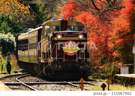 錦秋の鉄路をトロッコ列車が行く…  『トロッコわたらせ渓谷号』沢入駅にて 131067982