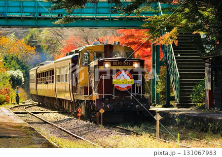 錦秋の鉄路をトロッコ列車が行く… 『トロッコわたらせ渓谷号』沢入駅にて 錦秋の鉄路をトロッコ列車が行く… 『トロッコわたらせ渓谷号』沢入駅にて 131067983