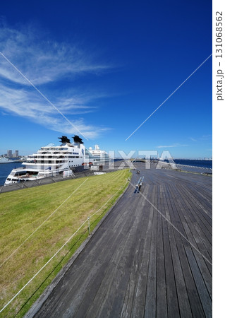 横浜港　大さん橋の屋上の風景（くじらのせなか） 131068562