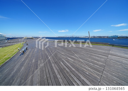 横浜港 大さん橋の屋上の風景(くじらのせなか) 横浜港 大さん橋の屋上の風景(くじらのせなか) 131068565