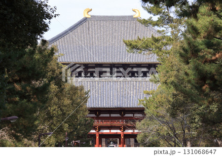 東大寺の中門と大仏殿 131068647