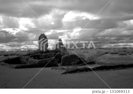 Casa Grande National Monument Black and White 131069313