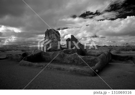 Casa Grande National Monument Black and White 131069316