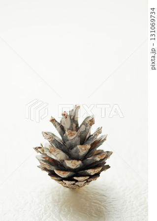 クリスマス・イメージ・松ぼっくり・白バック・シンプル・イメージ 131069734