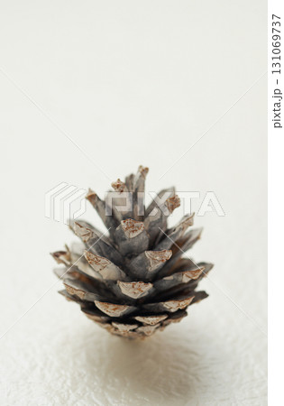 クリスマス・イメージ・松ぼっくり・白バック・シンプル・イメージ クリスマス・イメージ・松ぼっくり・白バック・シンプル・イメージ 131069737