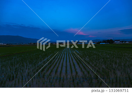 夕暮れに広がる田園風景　 131069751