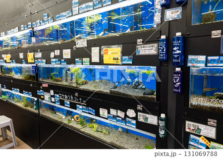 コーナン三鷹店　魚売場　水槽　東京都三鷹市野崎 131069788