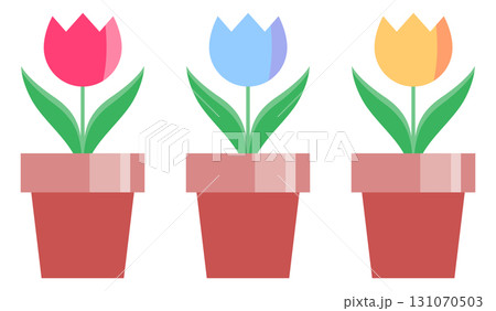 チューリップの鉢植えが3つ並んだイラスト 131070503