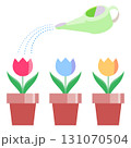 三つ並んだチューリップの鉢植えにジョウロで水をあげているイラスト 131070504