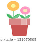 丸い花が2輪咲いている鉢植えイラスト 131070505