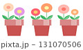 丸い花の鉢植えが3つ並んだイラスト 131070506