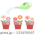三つ並んだ丸い花の鉢植えにジョウロで水をあげているイラスト 131070507